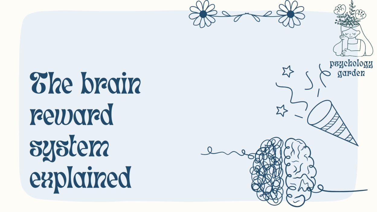 brain reward system explained psychology garden featured image