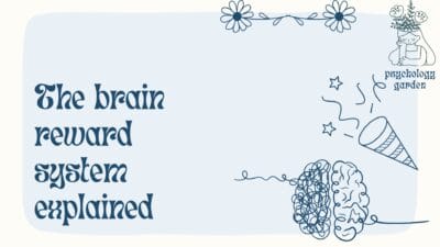 brain reward system explained psychology garden featured image