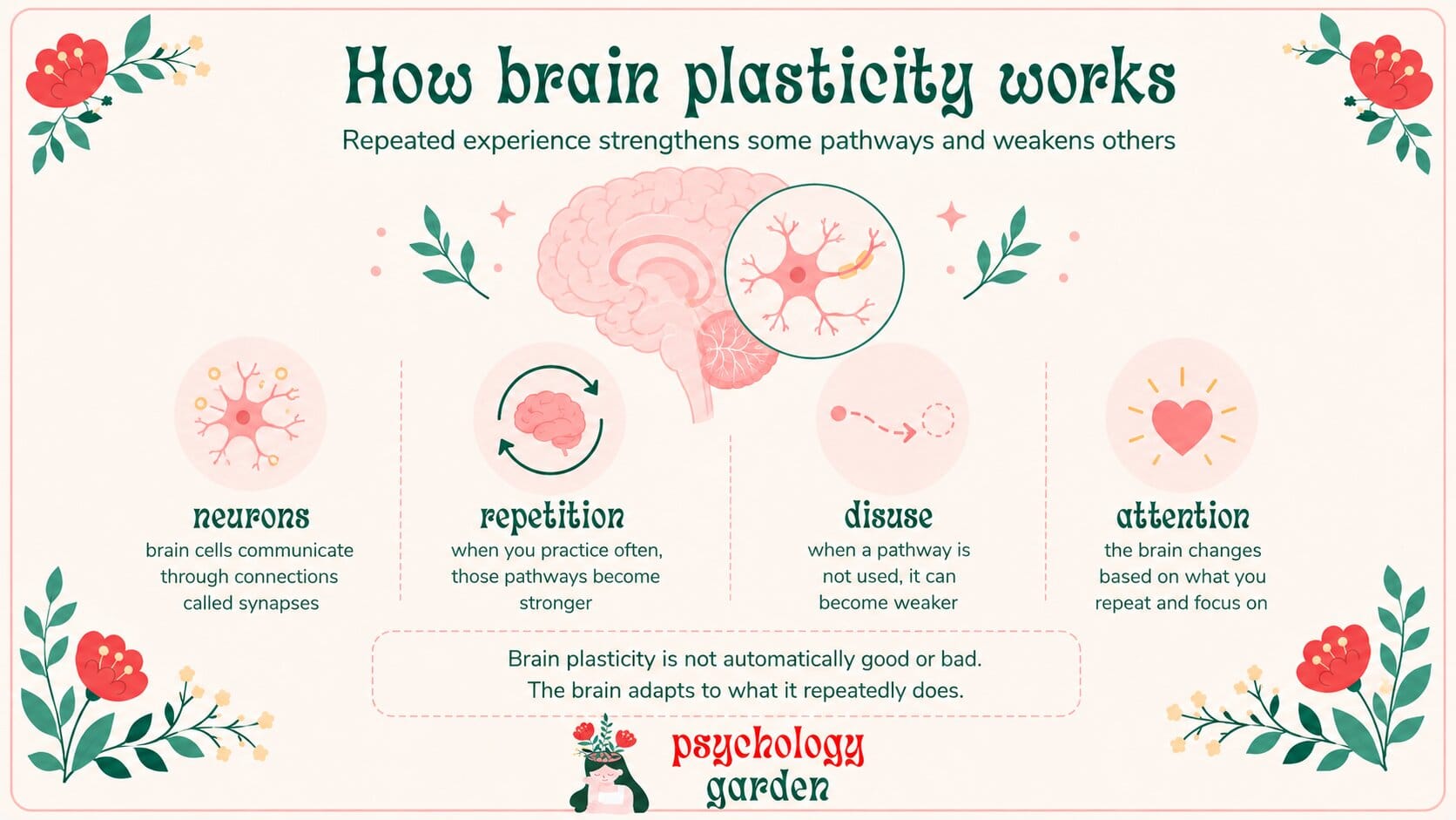 infographic explaining how brain plasticity works through neurons repetition disuse and attention