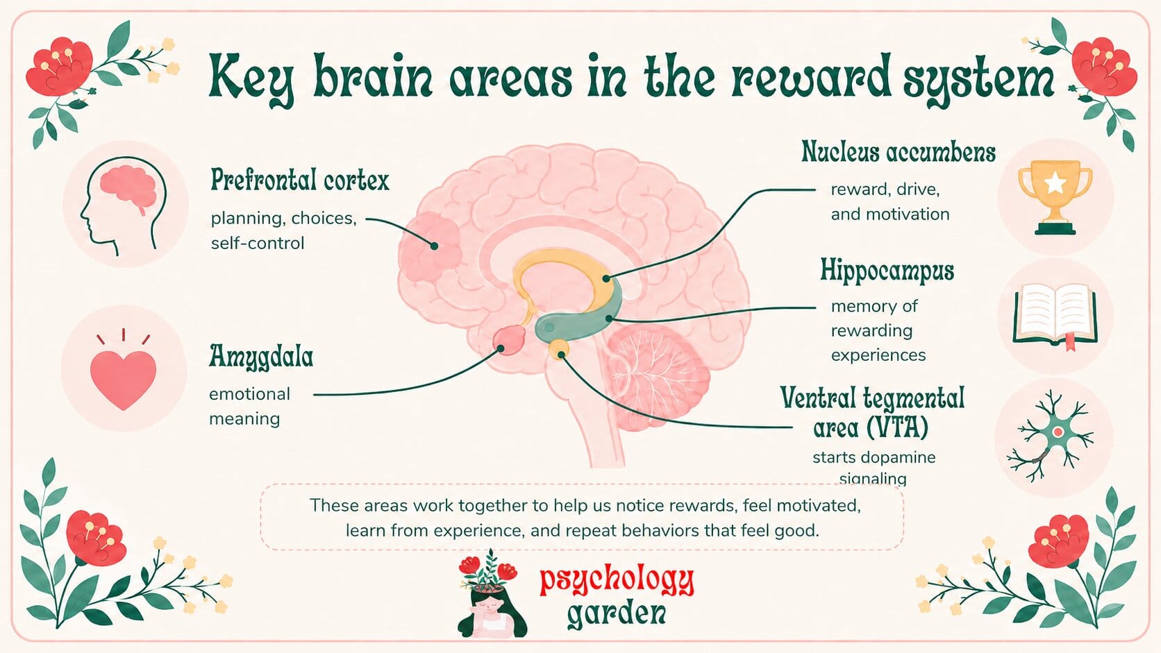 illustrated infographic showing key brain areas in the reward system, including the prefrontal cortex, amygdala, nucleus accumbens, hippocampus, and ventral tegmental area