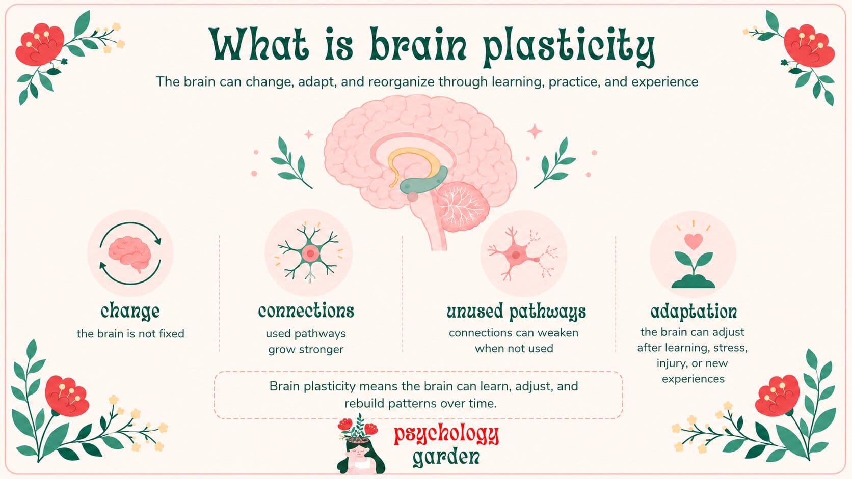 infographic explaining brain plasticity with brain and neuron icons