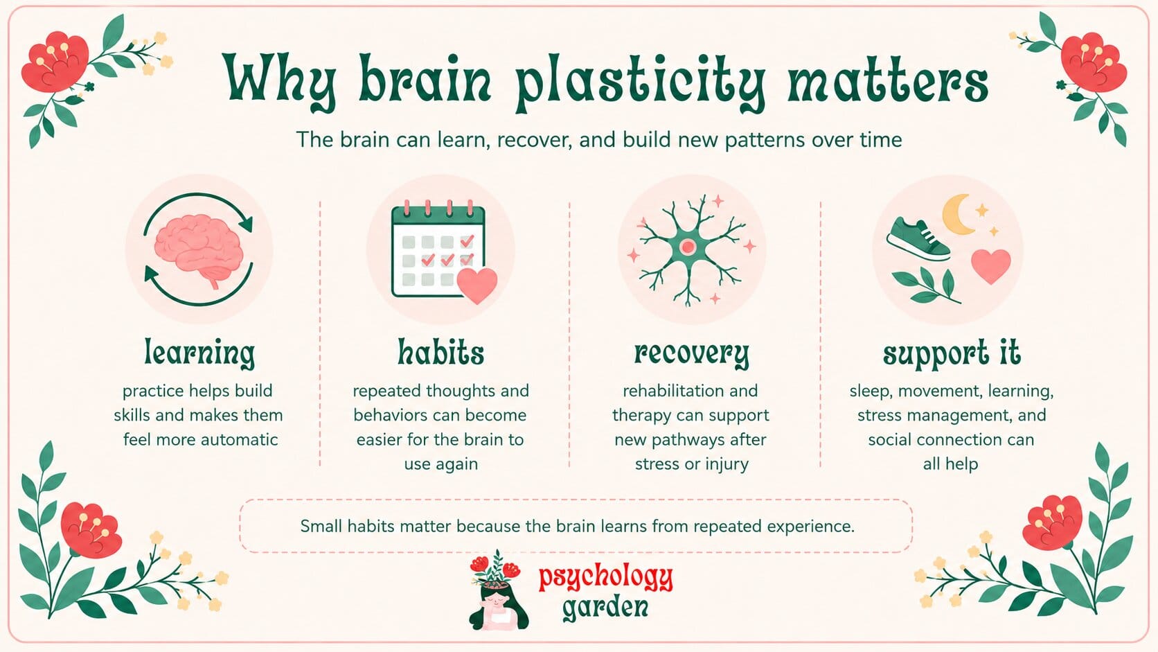 infographic showing why brain plasticity matters for learning habits and recovery